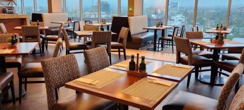 圣地亚哥比塔库拉凯悦嘉轩酒店(Hyatt Place Santiago/Vitacura)图片