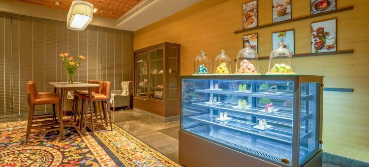 丽柏勒克瑙维卡斯纳加尔酒店(Park Inn By Radisson Lucknow, Vikas Nagar)图片