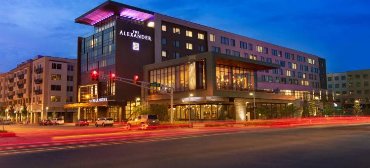 亚历山大酒店(The Alexander)图片