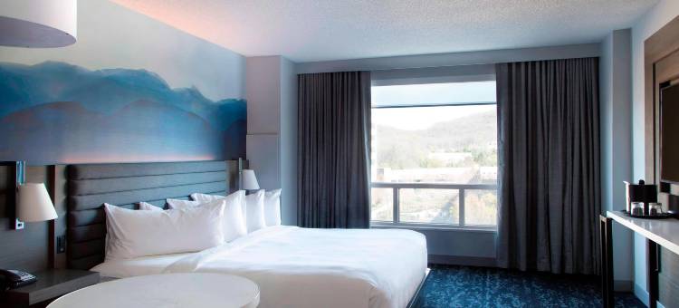 富兰克林冷泉万豪酒店(Franklin Marriott Cool Springs)图片