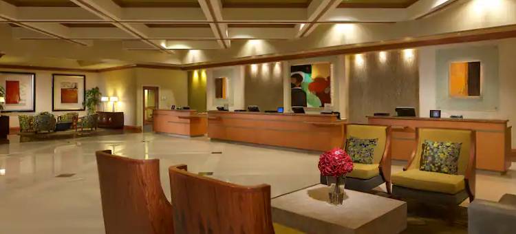 奥兰多太阳公园希尔顿分时度假俱乐部酒店(Hilton Grand Vacations Club Parc Soleil Orlando)图片