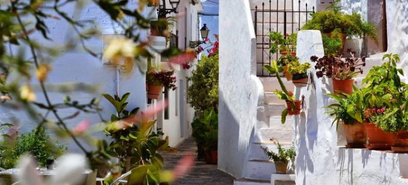 弗里希利亚纳米勒酒店(Casa Rural Miller's of Frigiliana)图片