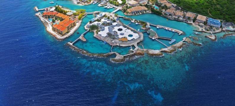 库拉索海豚养生套房(Dolphin Suites & Wellness Curacao)图片