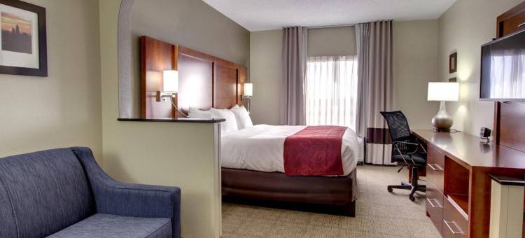 舒适套房酒店-大学科研园(Comfort Suites University - Research Park)图片