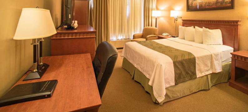 品质酒店及套房-皮埃尔·埃利奥特·特鲁多机场(Quality Inn & Suites PE Trudeau Airport)图片