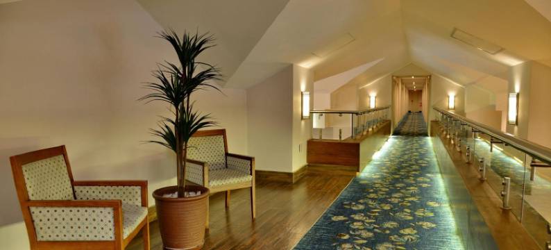 城市小屋-邦贝拉(Town Lodge Mbombela)图片