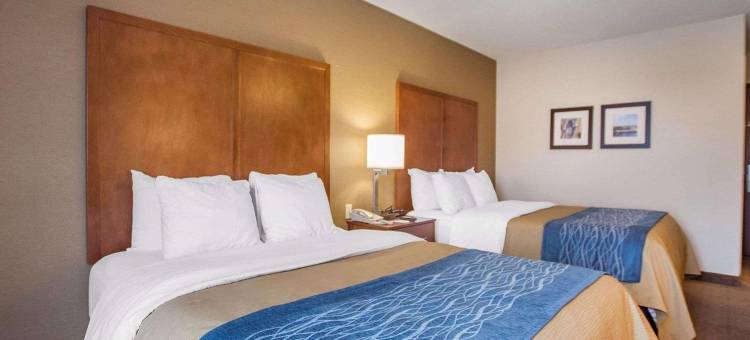 巴瑟斯特舒适酒店(Comfort Inn)图片