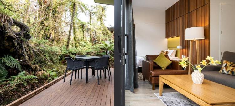 雨林旅馆(Rainforest Retreat)图片