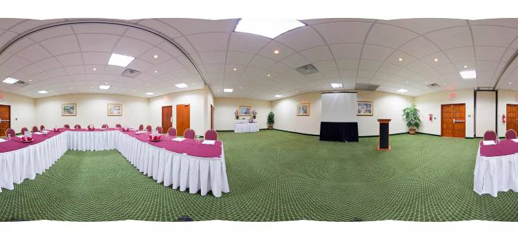 Holiday Inn 庞塞和热带娱乐场(Holiday Inn Ponce & Tropical Casino)图片