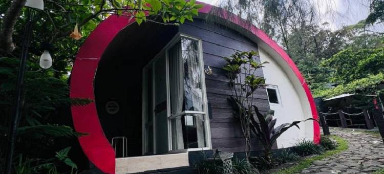 德皮波家庭旅馆(De'Pipo Homestay)图片