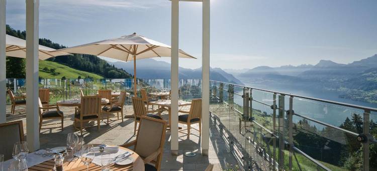 霍尼格别墅(Hotel Villa Honegg)图片