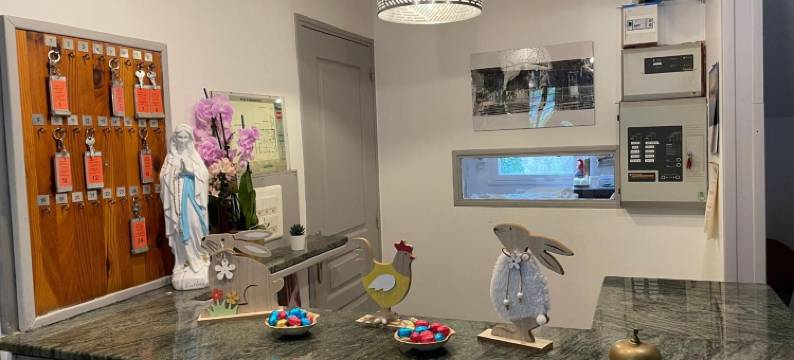 圣克莱尔酒店(Hôtel Saint Clair)图片