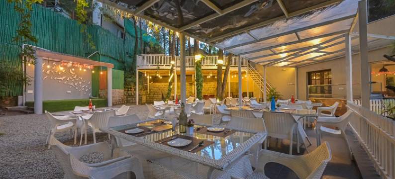 丛林小屋(Jungle Lodge Resort)图片