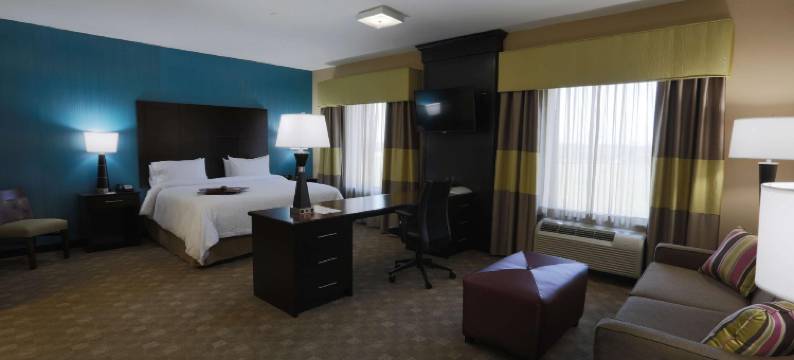 希尔顿欢朋套房酒店-密苏里城(Hampton Inn & Suites Missouri City)图片