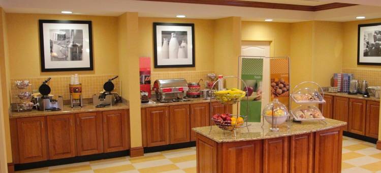 希尔顿欢朋酒店-纽波特纽斯(Hampton Inn Hampton-Newport News)图片