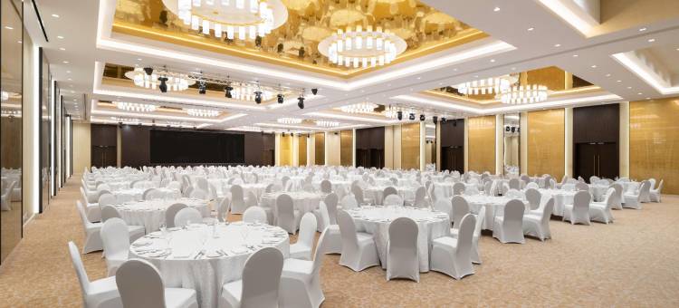 利雅得米尼哈尔丽笙酒店及会议中心(Radisson Blu Hotel and Convention Centre, Riyadh Minhal)图片