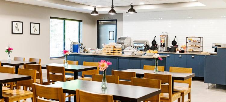 丽怡套房酒店, 阿普尔顿机场 - 福克斯河购物中心区域(Country Inn & Suites by Radisson, Appleton Airport - Fox River Mall Area)图片