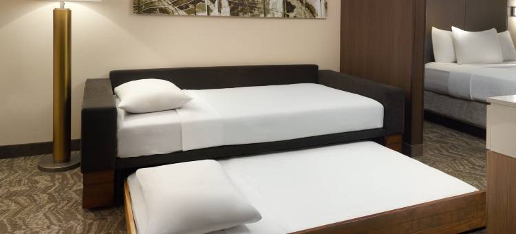 亚特兰大六旗游乐园万豪SpringHill酒店(SpringHill Suites Atlanta Six Flags)图片