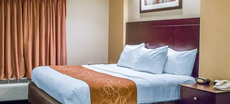 舒适套房酒店-佩里斯堡托莱多南(Comfort Suites Perrysburg - Toledo South)图片