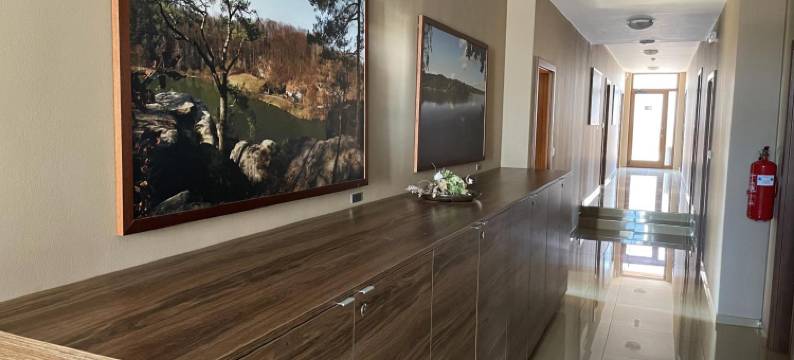 卡瓦皮里酒店(Hotel U Kvapilů)图片