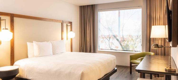 万豪国际万枫坎昆市中心酒店及套房(Fairfield by Marriott Inn & Suites Cancun Downtown)图片