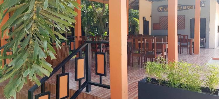 纳拉雅度假村(Naraya Resort)图片