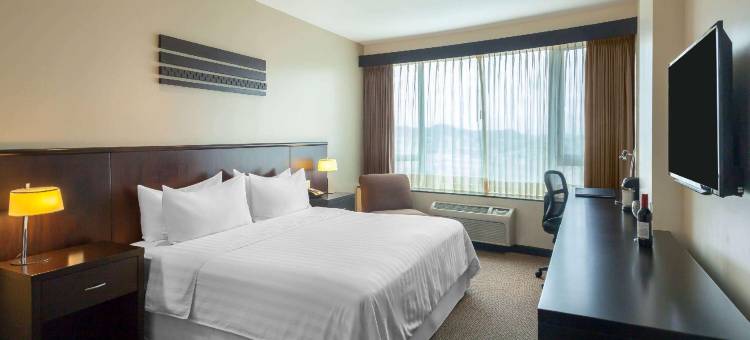 瓜亚基尔温德姆花园酒店(Wyndham Garden Guayaquil)图片