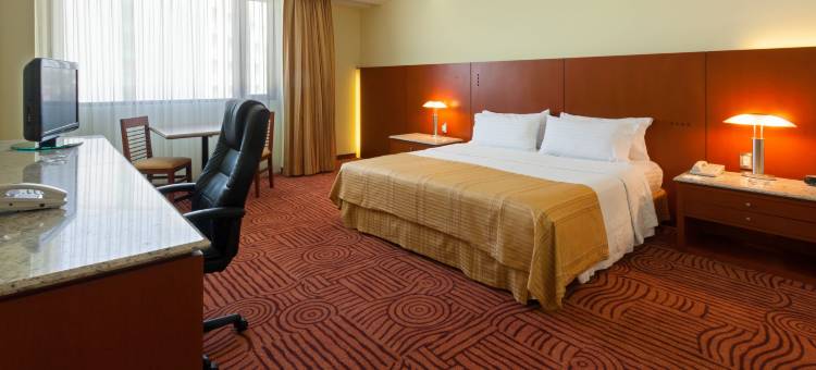 Holiday Inn 普埃布拉FINSA(Holiday Inn Puebla Finsa)图片