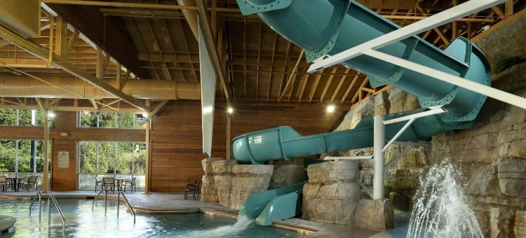 Hyatt Vacation Club at the Lodges at Timber Ridge图片