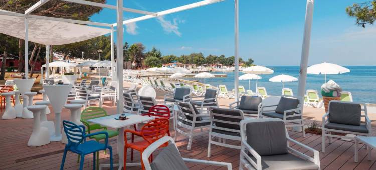 普拉瓦拉古娜索尔阿姆佛拉公寓(Apartments Amfora Plava Laguna)图片