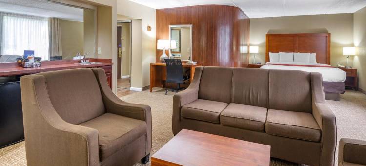 舒适酒店-马修斯地区夏洛特(Comfort Inn Matthews / Charlotte)图片