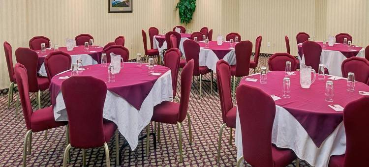 尼亚加拉瀑布/瀑布景观华美达酒店(Ramada by Wyndham Niagara Falls/Fallsview)图片