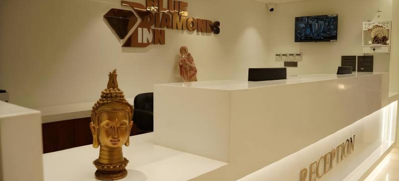 蓝钻石旅馆(Blue Diamonds Inn)图片