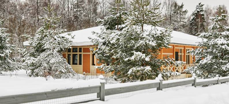 Petrukhino Club图片