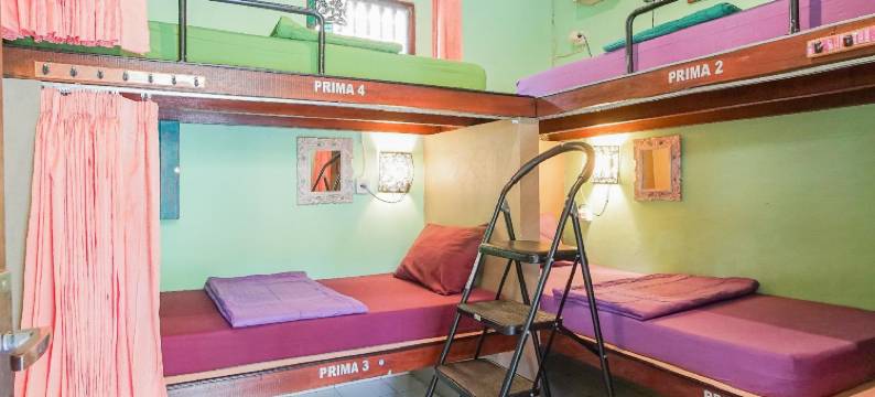 帕迪-帕迪旅舍-酒吧(Padi-Padi Hostel & Bar)图片