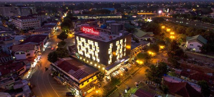 亚齐班达阿雅尼酒店(Ayani Hotel Banda Aceh)图片
