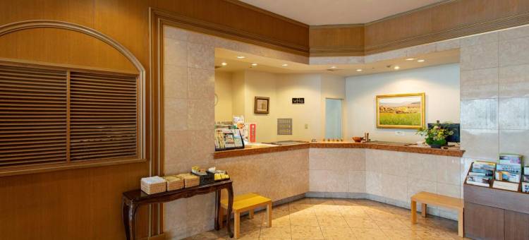燕三条华盛顿酒店(Tsubamesanjo Washington Hotel)图片