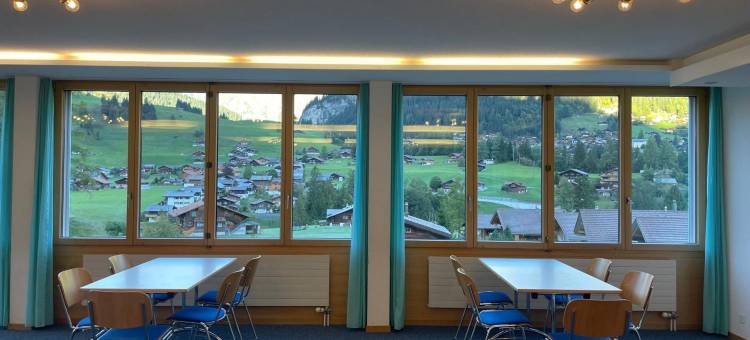 阿尔宾纳假日家庭酒店(Ferien- Und Familienhotel Alpina Adelboden)图片