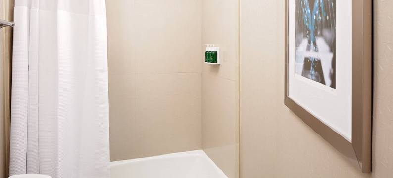 埃尔帕索万豪SpringHill酒店(SpringHill Suites El Paso)图片