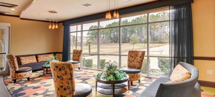 基尔戈舒适套房酒店(Comfort Suites Kilgore)图片