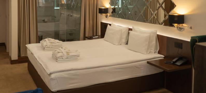 Hotel Spa Grad图片