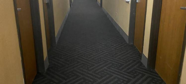 梅斯维尔温德姆速8酒店(Super 8 by Wyndham Maysville KY)图片