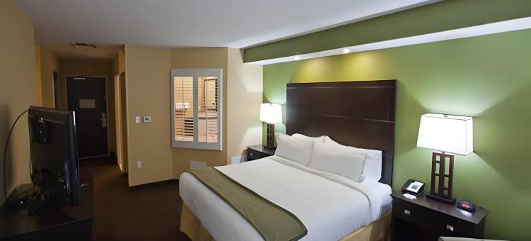 智选假日套房酒店特洛伊(Holiday Inn Express & Suites Detroit North - Troy)图片