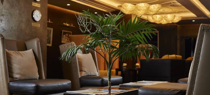 彼尔姆艺术酒店(Art Hotel)图片