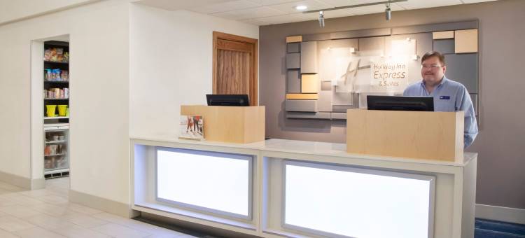 智选假日套房酒店萨拉索塔(Holiday Inn Express & Suites Sarasota East - I-75)图片
