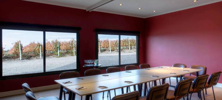 图蓬加托，门多萨葡萄酒酒店(Auberge du Vin, Tupungato, Mendoza)图片