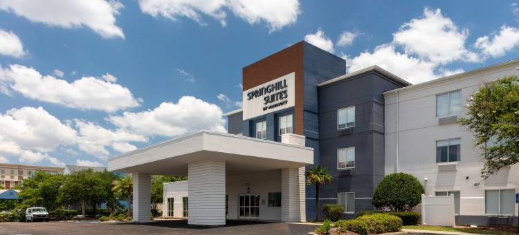 巴吞鲁日南万豪SpringHill酒店(SpringHill Suites Baton Rouge South)图片