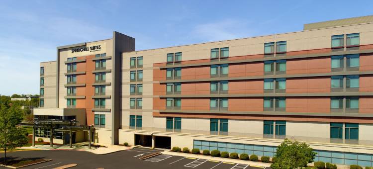 亚历山德里亚旧城/西南万豪SpringHill酒店(SpringHill Suites Alexandria Old Town/Southwest)图片