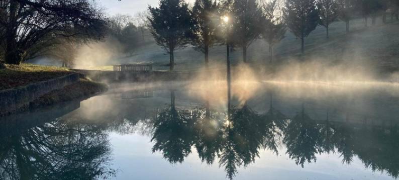 光之珍宝城堡(Château Ecrin de Lumière)图片