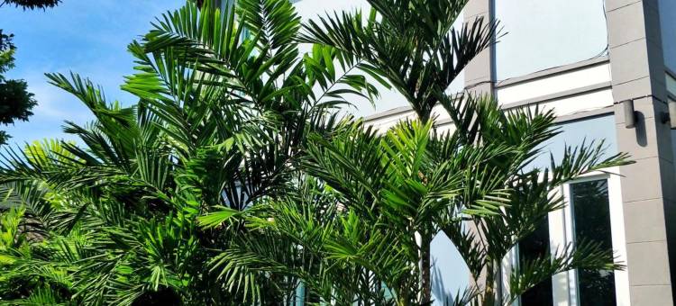 素可泰蓝色房子旅馆(Blue House Sukhothai)图片